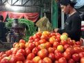 Stok Tercukupi dari Petani, Harga Buah Tomat Segar di PIOS Stabil