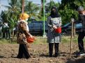Petani Tanaman Pangan Banyuwangi Digelontor Bantuan 582 Ton Benih Berkualitas