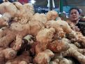 Jahe Ponorogo di PIOS Mulai Langka, Pedagang PIOS Datangkan Stok dari Medan