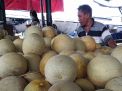 Buah Melon dari Berbagai Daerah di Jatim Penuhi Lapak Pedagang PIOS