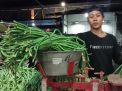 Kacang Panjang Segar di PIOS Jadi Favorit Para Pedagang Pasar Tradisional