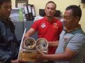 Perdagangan Online Satwa Dilindungi di Malang Terbongkar