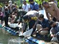 Selokan Kotor di Kota Probolinggo Disulap Jadi Kolam Ikan Nila