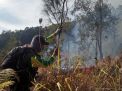 Kebakaran di Hutan Curah Seriti Gunung Arjuno Berhasil Dipadamkan