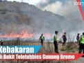 Video: Kebakaran di Bukit Teletubbies Gunung Bromo