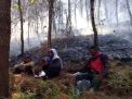 Kebakaran Hutan di Gunung Lawu Padam, Jalur Pendakian Masih Ditutup