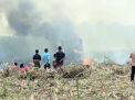 Ladang Tebu di Mojokerto Terbakar, Satu Truk Hangus dan Sopir Terluka