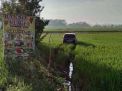 Motor Diseruduk Mobil Innova Hingga Masuk Sawah, Satu Biker Tewas
