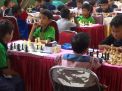 Seleksi Atlet Kejurnas, Kejurprov Catur Digelar di Tulungagung