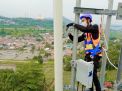 Kinerja XL Axiata Kembali Tumbuh di Kuartal II Tahun 2021