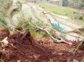 Longsor Terjadi di Ngawi Timbun Persawahan