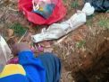 Geger Penemuan Mayat Bayi Terkubur di Kebun Sengon Probolinggo