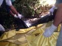 Mayat Perempuan Misterius Ditemukan di Hutan Belang Ponorogo