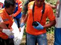 Mayat dengan Luka di Pipi Gegerkan Warga Pakis Malang