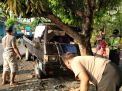 Mobil Pikap Tabrak Pohon di Ngawi, Pengemudi Tewas