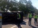 Mobil Pikap Bermuatan Pasir Kucing Terguling di Tol Sidoarjo