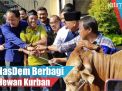 Video: NasDem Berbagi Hewan Kurban