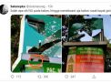 Viral Neon Boks Kantor MWC NU di Lamongan Pecah, Dirusak?