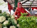 Dijamin Segar dan 'Cantik', Aneka Sayur di PIOS Selalu Ludes Terjual