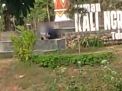 Beredar Video Pasangan Mesum di Taman Ngrowo Tulungagung