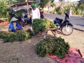 Gairah Pasar Rumput Tulungagung di Tengah Kemarau Panjang