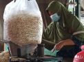Stok Kecambah di PIOS Melimpah, Ini Manfaatnya Bagi Kulit