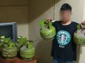 Curi 8 Tabung Gas Elpiji, Seorang Pelajar di Ngawi Dihajar Warga