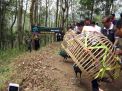 Seekor Elang Jawa dan 6 Merak Hijau Dilepasliarkan di Ponorogo