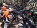 Api yang Membakar Hutan di Gunung Panderman Tersisa Dua Titik
