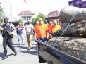 Terlibat Pembalakan Liar Kayu Sonokeling di Ponorogo, 5 Orang Diringkus
