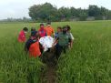 Sepekan Menghilang, Pria ini Ditemukan Tewas di Pematang Sawah