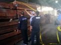 Kayu Merbau Diduga Ilegal Asal Maluku Tengah Disita di Surabaya
