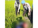 Petani di Ngawi Tewas Tersengat Listrik Jebakan Tikus