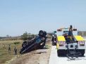 Pikap Bermuatan Pepaya Terbalik di Jalan Tol Kertosono-Ngawi