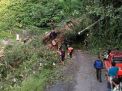 Cuaca Buruk Landa Magetan, Pohon Tumbang Timpa Motor dan Warung