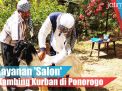 Video: Layanan 'Salon' Kambing Kurban di Ponorogo