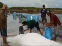 Harga Garam Anjlok, Petani di Pasuruan Mengeluh