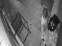 Seorang Bocah Terekam CCTV Mencuri Uang Kotak Amal di Mojokerto