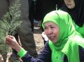 Redam Tsunami, Khofifah Ajak Daerah Pesisir Jatim Tanam Cemara Udang
