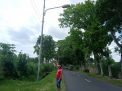 8 Solar Cell Lampu PJU di Jalan Raya Purwoharjo, Banyuwangi Raib