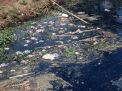 DLH Ambil Sampel Air Sungai Mungkungan Ponorogo yang Hitam dan Bau