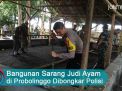 Video: Bangunan Sarang Judi Ayam di Probolinggo Dibongkar Polisi