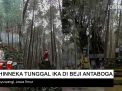 Video: Bhinneka Tunggal Ika di Beji Antaboga