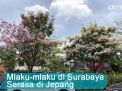 Video: Mlaku-mlaku di Surabaya Serasa di Jepang
