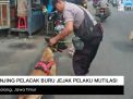 Video: Anjing Pelacak Buru Jejak Pelaku Mutilasi