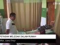 Video: Petasan Meledak Dalam Rumah di Blitar