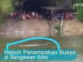 Video: Heboh Penampakan Buaya di Bengawan Solo