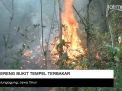 Video: Lereng Bukit Tempel Tulungagung Terbakar
