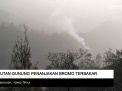 Video: Hutan Gunung Penanjakan Bromo Terbakar