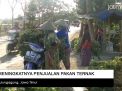 Video: Meningkatnya Penjualan Pakan Ternak di Tulungagung